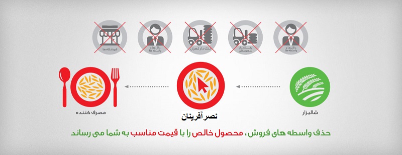 عرضه مستقیم برنج کیفیت بالا